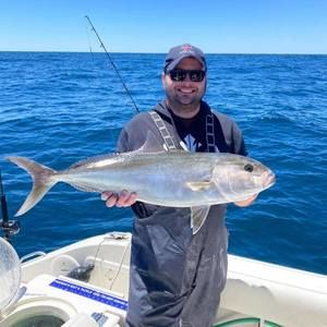 Meet your Posher, Lloyd